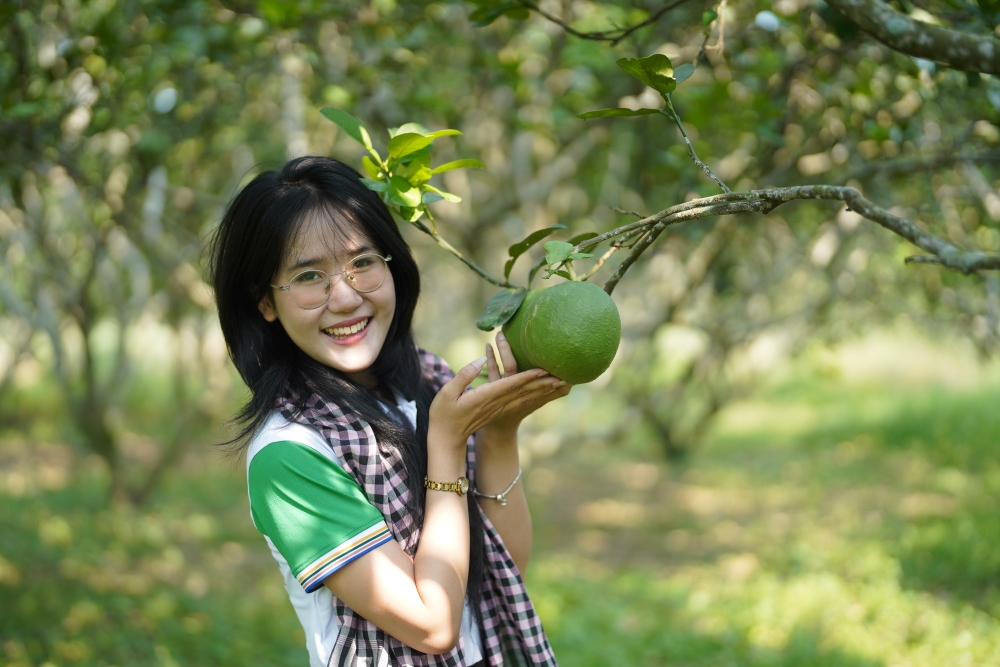 Bưởi Đồng Nai đạt chuẩn nhưng vẫn bán “giá chợ”